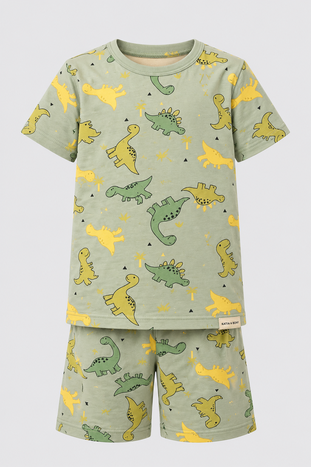 Dinosaur Packaged Boys' Shorts Set GREEN