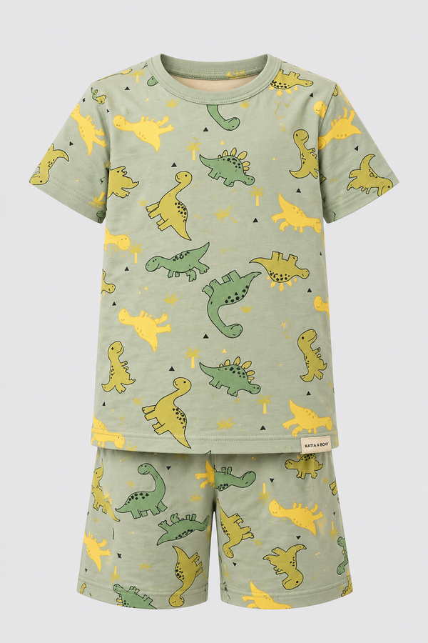 Dinosaur Packaged Boys' Shorts Set GREEN