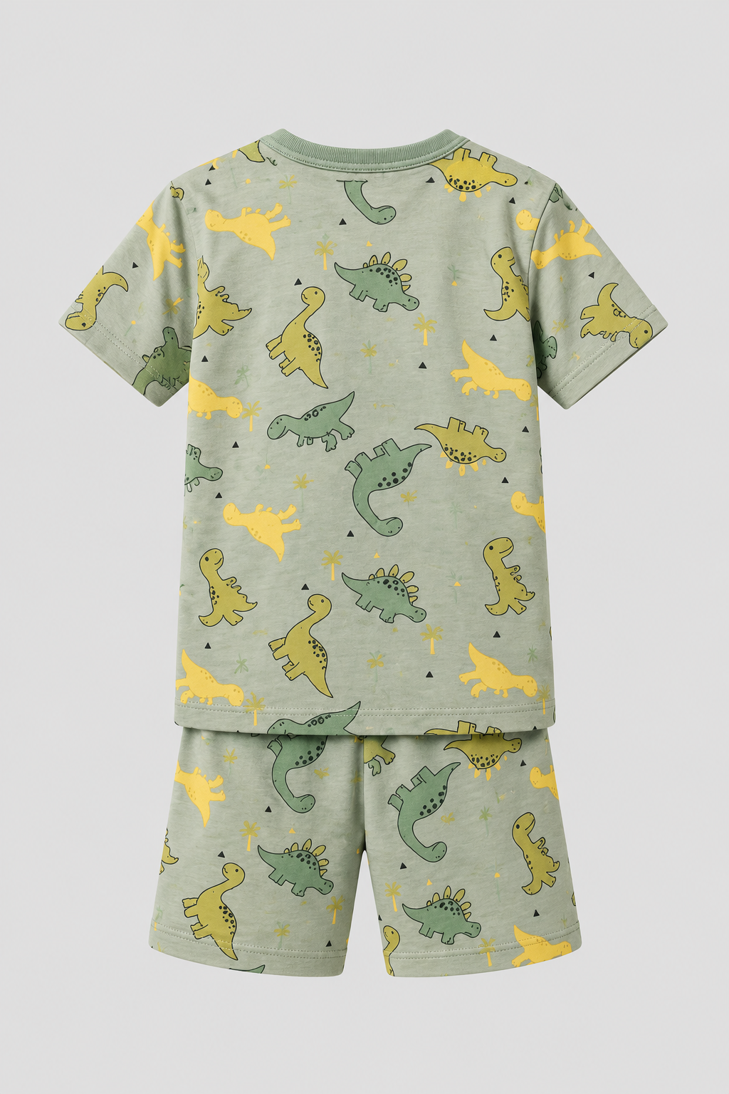 Dinosaur Packaged Boys' Shorts Set GREEN