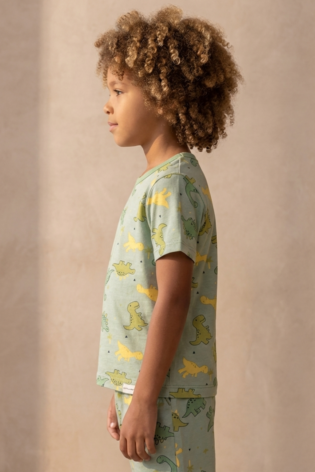 Dinosaur Packaged Boys' Shorts Set GREEN