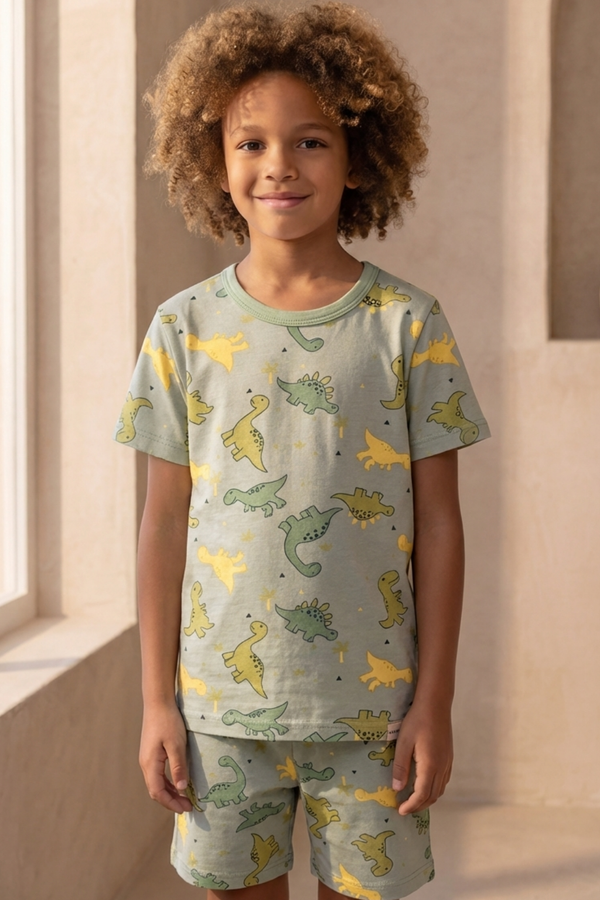 Dinosaur Packaged Boys' Shorts Set GREEN