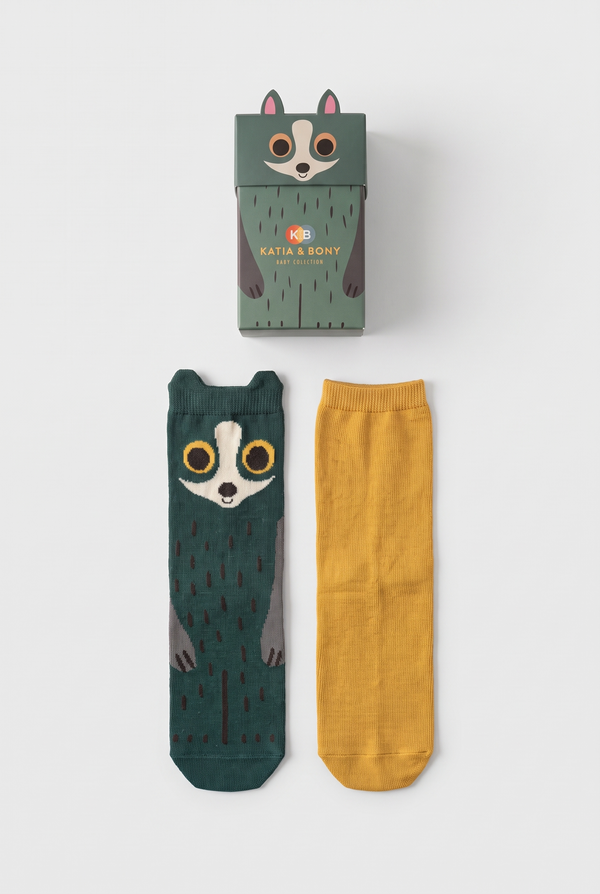 2PCK RACCOON BOXED CHILDREN'S SOCKS GREEN MIX