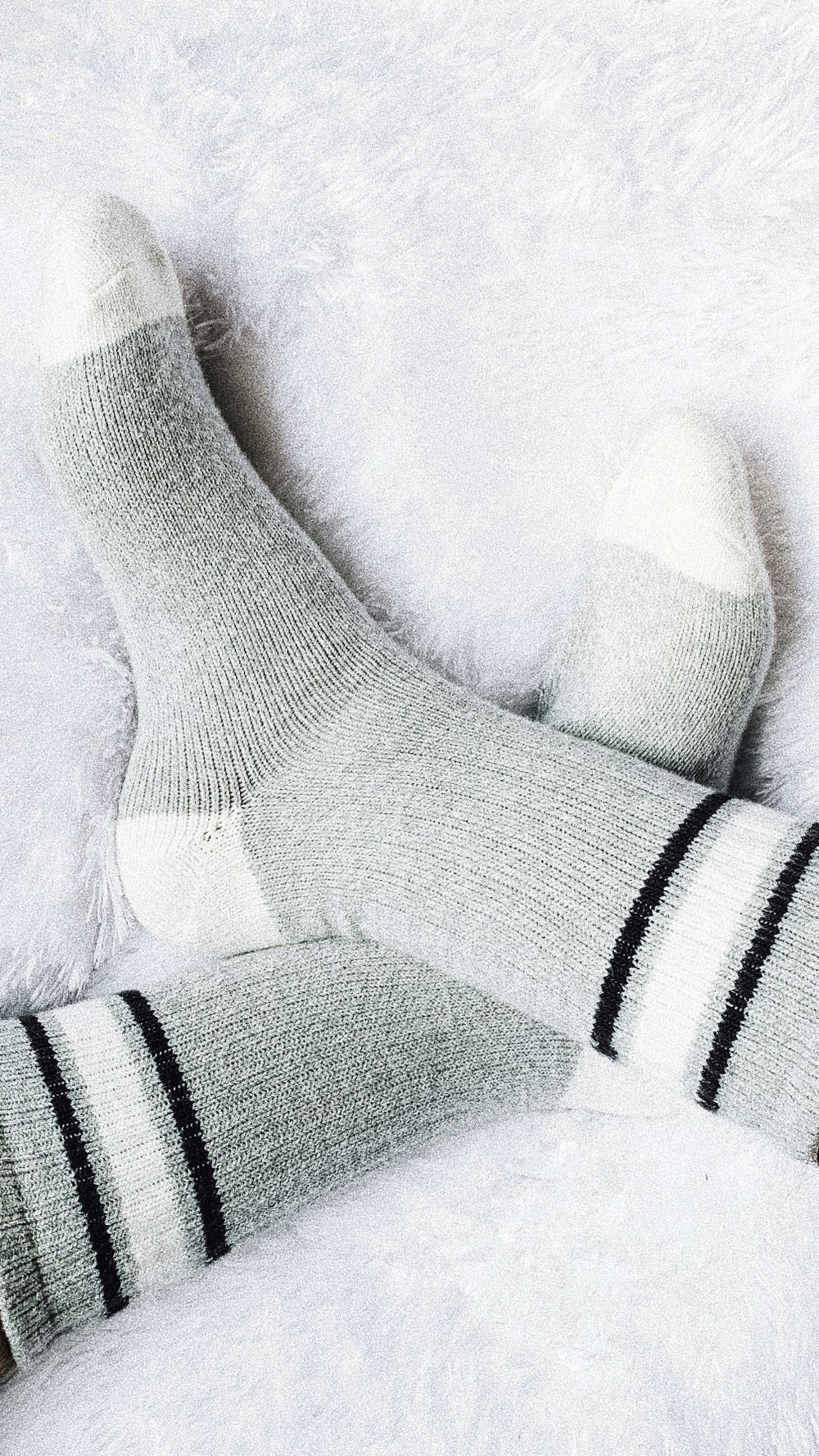Premium Cotton Socks